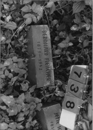 Grabstein 738 [Hahn S. 68 Grab-Nr. 625]