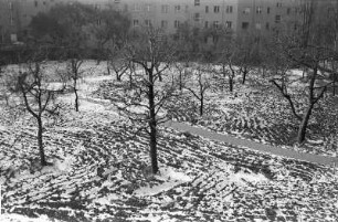 Berlin-Friedenau : In Berlin-Friedenau, St. Gertrauden Krankenhaus, Hof