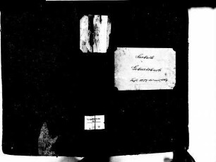 Sasbach OG; Katholische Gemeinde: Geburtenbuch 1857-1869
