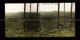 Blick zum Wurmberg bei Goslar