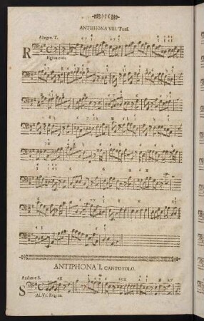 Antiphona VIII.