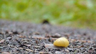 Slow - Langsam ist das neue Schnell