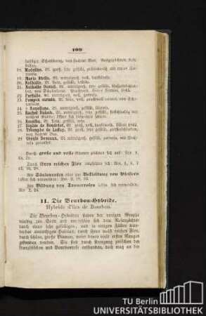 11. Die Bourbon-Hybride. Hybride d'iles de Bourbon.
