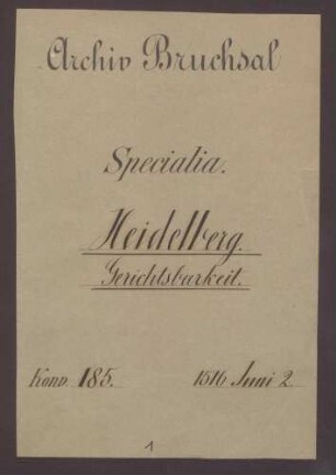 Friedrich Brandenberger, Seelsorger zu Mainz, erteilt dem Meister Johann Lindenfels zu Heidelberg Vollmacht, ihn in einem beim kurfürstlichen Hofgericht anhängigen Prozess gegen Martin von Freimersheim zu vertreten.