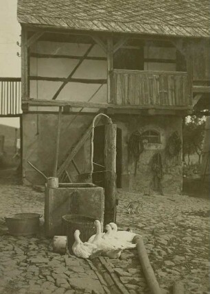Zschopautal bei Waldheim, Brunnen : Brunnen in einem Vierseithof in Gilsberg, Gänse am Brunnen