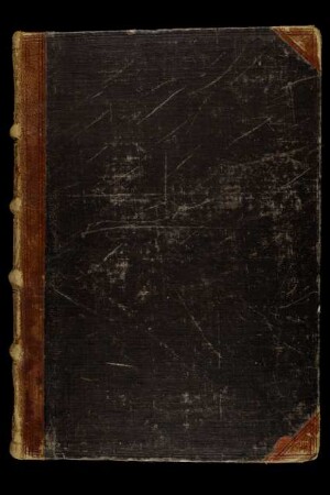 Österreichische Chronik von den 95 Herrschaften : Ms. germ. fol. 122