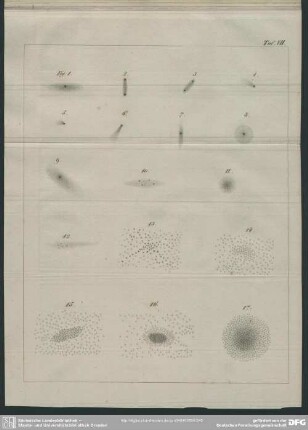 Taf. VII, Fig. 1-17