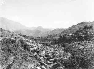 Vegetationsansicht : Vegetationslandschaft eines Gebirges