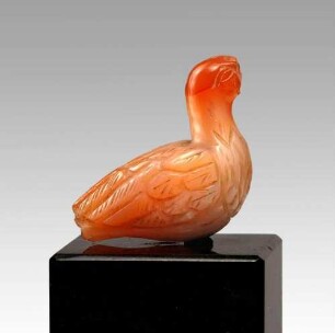 Vogel