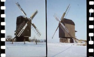 Bockwindmühlen Dippe und Trog in Ausleben