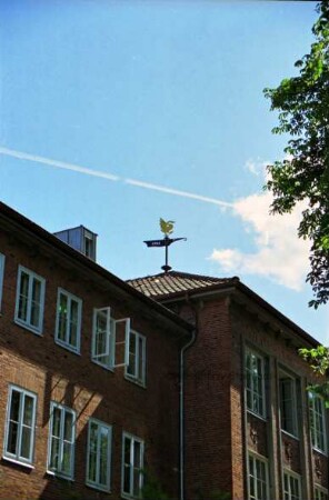 Mommsenstraße 11 (Gebäude A): Stormarnhaus: Wetterfahne mit Schwan