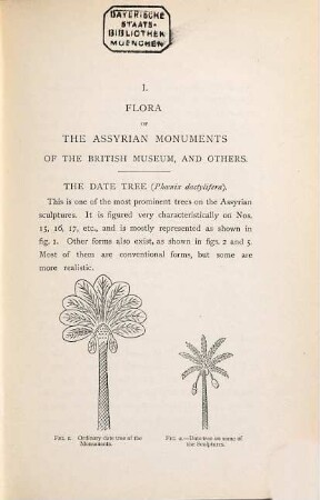 The flora of the Assyrian monuments and its outcomes