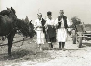Maramures, Rumänien. Oaser Land. Junge Bauern in Tracht auf dem Viehmarkt