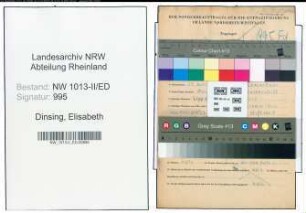 Entnazifizierung Elisabeth Dinsing , geb. 25.04.1920 (Lehrerin)