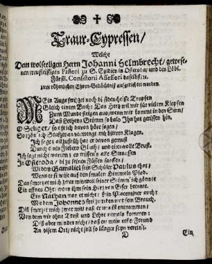 Traur-Cypressen