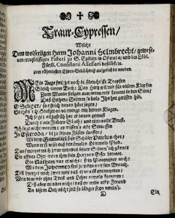 Traur-Cypressen