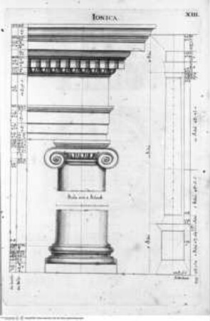 L'Academia Todesca della Architettura, Scultura e pittura: Oder Teutsche Academie der Edlen Bau- Bild- und Mahlerey-Künste:..., 1. Teil, 1. Buch, Tafel XIII: Ionica