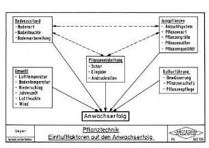Pflanztechnik Einflußfaktoren auf den Anwachserfolg