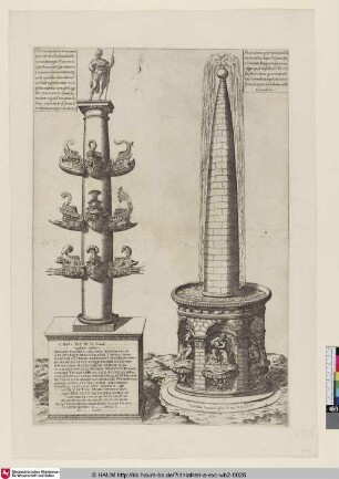 [Columna rostrata und Meta Sudans]