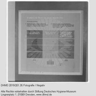 Nationale Hygiene-Ausstellung - Raum 11 - "Wissen Sie über die Haut Bescheid?"