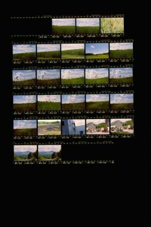 Landesschau-Bilder: Sommer