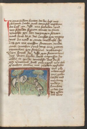 Affe und Esel