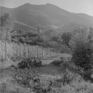 Landschaftsbilder bei Boyana am Stadtrand Sofias