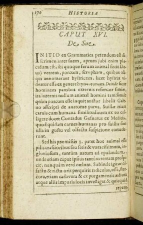 Caput XVI. De Sue.