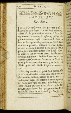 Caput XVI. De Sue.