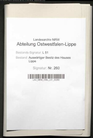 Quittungen und Rechnungen des Rentmeisters Elisa Gordon