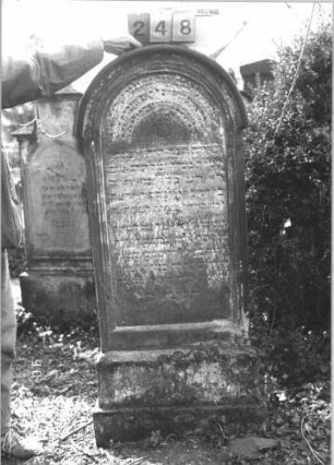 Grabstein 248 (Index: 99786860) Zustand: z. T. stark verwittert Maße HxBxT: 149x61x17 cm: Grabstein 248