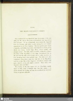 XXXI. The Black Circassian Cherry