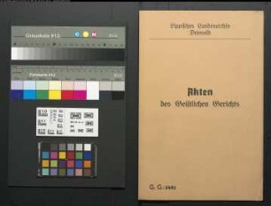 M. (Meister) Cornelius Güldener in Detmold gegen Severin Friederich Helwig, wegen einer Beleidigung. Helwig war mit Eheklage gegen Güldeners Tochter abgewiesen worden