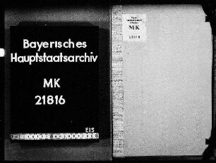 Zweibrücken. Studienanstalt. (Gymnasium). Im allgemeinen. (Z.T. verbrannt).