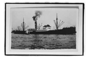 Amasis (1923), Kosmos , Hapag