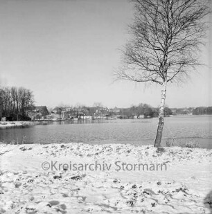 Großensee: Südufer: vorn Wiese mit Baum: hinten Häuser und Bäume: Winter