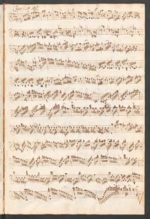 Capricio 41-60
