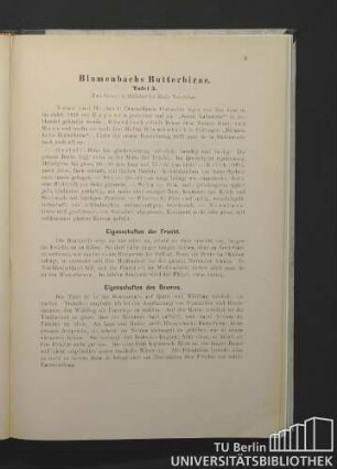 Blumenbachs Butterbirne. Tafel 3.