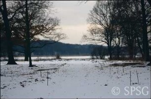 Potsdam, Park Sacrow, Blick zum Glienicker Maschinenhaus aus der Kastanienallee.