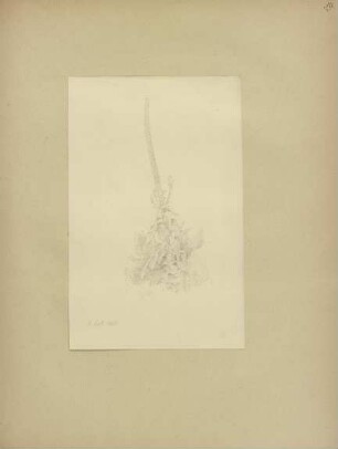 Klebebände, Band 25, Seite 59