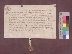 Werner von Hornberg gibt sein Eigentumsrecht an der Veste Schneeburg bei Ebringen als Gottesgabe an das Stift St. Gallen auf.