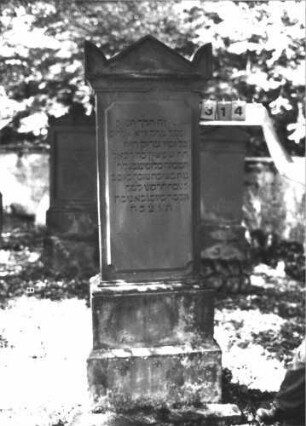 Grabstein 314 (Index: 99609951) Material: Sandstein Zustand: verwittert Maße HxBxT: 217x68x30 cm Beschreibung: Stele, Abdeckplatte, Giebelaufsatz mit Seitenakroteren, Schriftfeld erhaben, getreppter Sockel: Grabstein 314