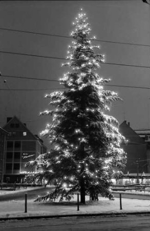 Freiburg: Platz am Siegesdenkmal, Tannenbaum mit Lichtern (allein)