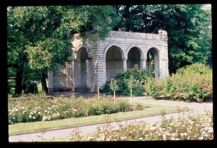 Bürgerpark 23.6.76.