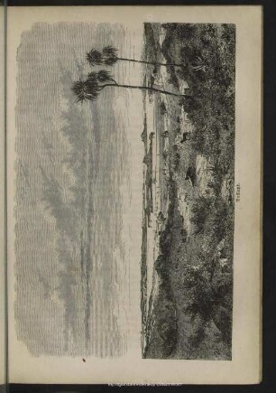Auckland