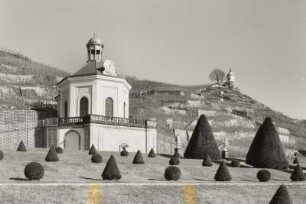 Belvedere : Weingut Wackerbarths Ruh'. Blick gegen Belvedere (1728-1729; J. C. Knöffel) und Jacobstein (1743)