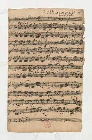 Violoncello piccolo