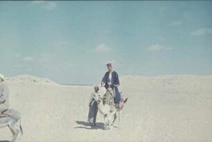 Reisefotos Ägypten. Kamelreiter