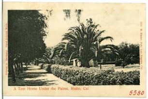 Rialto. A Tent Home Under the Palms, Rialto, Cal.