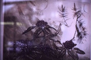 Ausstellung "Radierungen, Zeichnungen" von Jürgen Grenzemann: Radierung